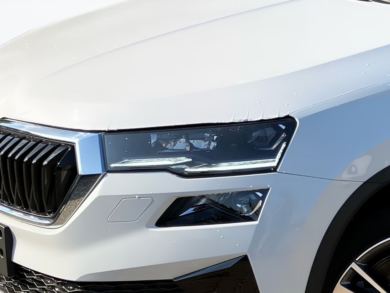 Skoda Karoq - Bild 6