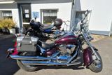 Suzuki VL800 Intruder C800 - SUZUKI C 800