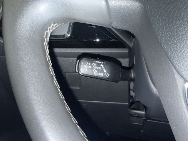 Seat Ateca XCELLENCE DSG LED BEATS PANO STANDHZG AHK