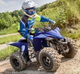 Yamaha YFZ 50 2022 - YAMAHA YFZ50