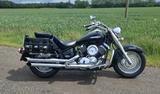 Yamaha XVS 1100 Dragster 1 Hand Top Zustand - YAMAHA XVS 1100
