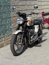 Triumph Bonneville T 100 - Angebote