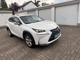 Lexus NX300h E-FOUR Luxury Line im TOP-ZUSTAND - Lexus NX-Serie in Köln