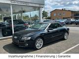 Audi A5 1.8 TFSI Cabriolet XENON NAVI LEDER 18" LED - gebrauchte Audi A5 aus dem Jahr 2009