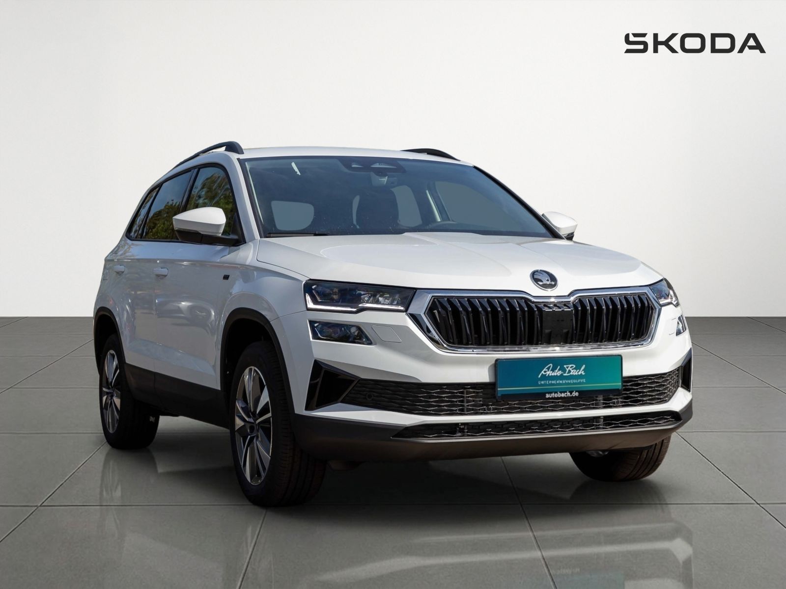 Skoda Karoq - Bild 3