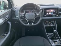 Skoda Karoq - Vorschau Bild 10