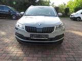 Skoda Karoq Style - graue Skoda Karoq