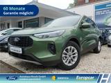 Ford Kuga Titanium 1.5 EcoBoost Navi digitales Cockpi - Ford Kuga: Grün