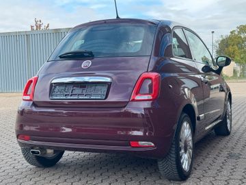 Fiat 500 - 3