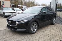 Mazda CX-30 - Vorschau Bild 5