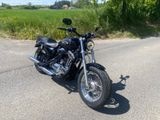 Harley-Davidson Sportster 1200 Custom, 5HD, KESS Tech - Offers matching your search criteria