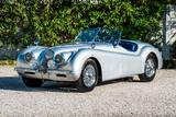 Jaguar XK 120 OTS - Jaguar XK: Xk120 Ots