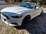 Ford Mustang 2.3 EcoBoost - - Ford mit Benzin-Antrieb: Cabrio, Schaltgetriebe
