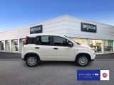 Fiat Panda 1.0 Mild Hybrid (EURO 6d) - Fiat Panda in Hamburg