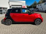 Smart forfour passion Panoramadach - gebrauchte Smart ForFour aus dem Jahr 2019