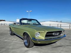 Ford Mustang - V8 Cabrio - lime gold - inkl. TÜV & H
