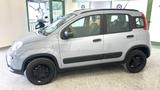 Fiat Panda 0.9 t.air t. 4x4 s&s 85cv my19 - Fiat Panda: Pickup