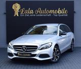 Mercedes-Benz C 220 d 2.2 CDI NIGHT-PAKET/AMBIENTE/TEMPOMAT/AU - Mercedes-Benz C 220: Cd