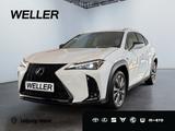 Lexus UX 300h F SPORT Design *LED*ACC*SHZ*TWA*CAM*PDC* - Lexus UX in Leipzig
