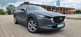 Mazda CX-30 Automatik - Leder - Bose - HUD... - Mazda: Mazda3 Auto