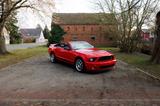 Ford Mustang SHELBY GT500 SVT V8 27 k KM !! TOP !! - gebrauchte Ford Mustang aus dem Jahr 2007