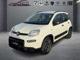 Fiat Panda MY21 City Life Hybrid 1.0 GSE 51kw - Fiat Panda mit Hybrid-Antrieb