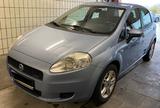 Fiat Punto 1.3 Multijet 16V 75 Dynamic Dynamic - Fiat Punto: 1.3
