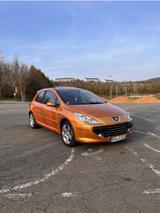 Peugeot 307 Sport 2.0L 16V - TÜV 12/27 - vieles neu - Peugeot 307 mit Schiebedach