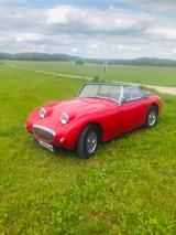 Austin Healey Andere - Austin Healey Gebrauchtwagen von 1960
