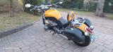 BMW R1200C Independent Kat, ABS, Griffheiz., Koffer - Angebote