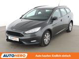 Ford Focus 1.0 EcoBoost Trend *NAVI*PDC*TEMPO*SHZ* - Ford Focus: Trend