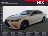 Lexus ES 300 h Executive Line KAMERA - Lexus ES-Serie Gebrauchtwagen