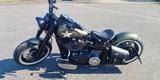 Harley-Davidson Slim/S/FLSS/Softail