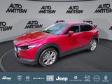 Mazda CX-30 SKYACTIV-G150 Automatik 2.0 Selection,1.Hd - Mazda CX-30 in Bielefeld