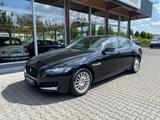 Jaguar XF Prestige Navi R-Cam LED Leder - Jaguar XF: Prestige