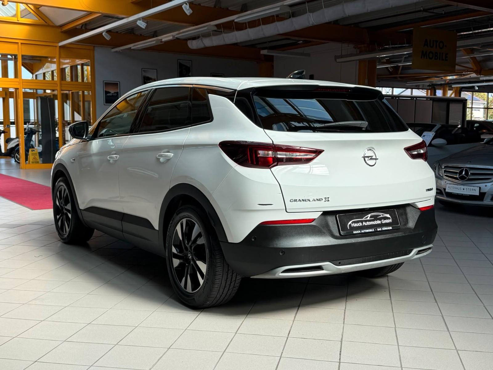 Opel Grandland (X) Innovation Panorama / 360° Kamera