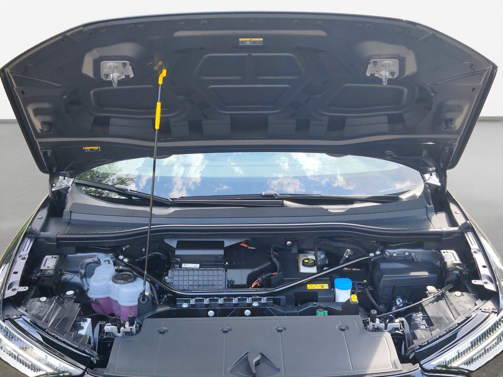 Audi Q4 e-tron - Bild 19