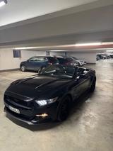 Ford Mustang 5.0 Ti-VCT V8 GT Auto GT - Ford Mustang mit Benzin-Antrieb: Cabrio, 5.0