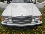 Mercedes-Benz Mercedes Benz W124 260 E - Mercedes-Benz 260 Gebrauchtwagen