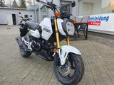Honda MSX125 + 6 Jahre Garantie - NEU - 0KM - HONDA WIESBADEN