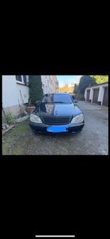 Mercedes-Benz Mercedes Benz S 500   W 220 - Mercedes-Benz S 500 aus 2001