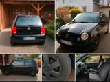 Volkswagen Lupo 1.0 BASIS Basis - Volkswagen Lupo Basis mit Benzin-Antrieb