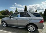 Mercedes-Benz ML 350 BlueTEC 4MATIC  AMG Stdheizung 360 Kam - Mercedes-Benz: Ml 4matic