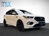 Ford Kuga 2.0 EcoBoost ST-Line  WinterPaket/AWD/Kam - Ford Kuga: Allradantrieb, 2.0