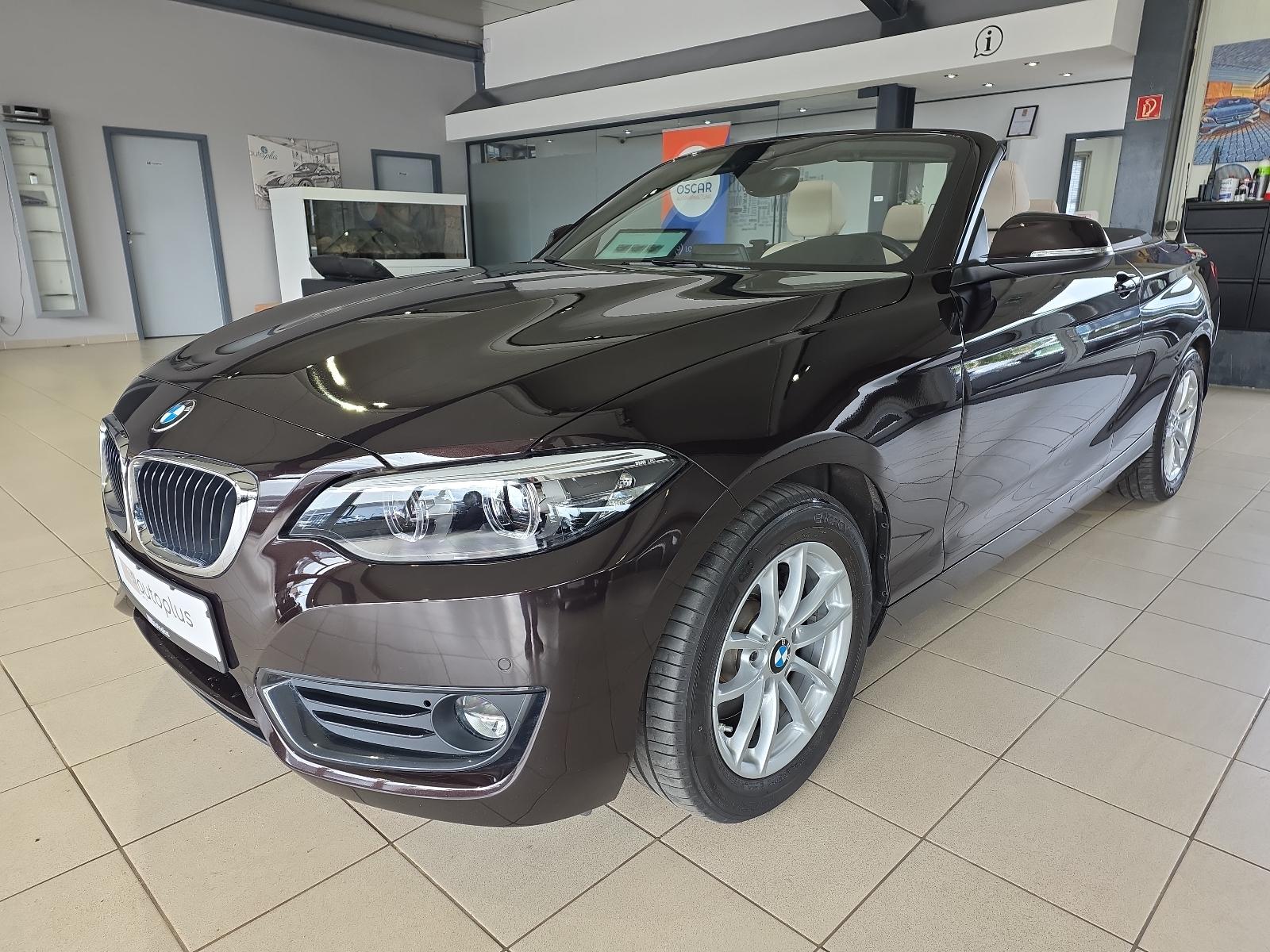 BMW 220i Cabrio Advantage 1.Hand Leder Kamera LED