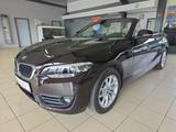 BMW 220i Cabrio Advantage 1.Hand Leder Kamera LED