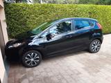 Ford Fiesta 1,25 60kW Trend Trend - Ford Fiesta aus 2011: 1.6