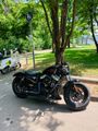 Harley-Davidson Sportster 48 *Viele Umbauten*Top Zustand* - Angebote entsprechen Deinen Suchkriterien