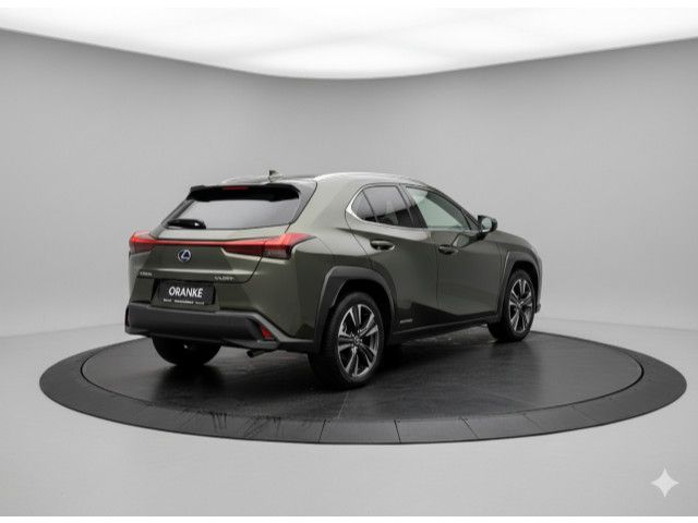 Fahrzeugabbildung Lexus UX 250h Style Edition Navi*Winterpaket*PDC*8fach