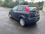 Fiat Punto  Active/ TÜV Neu - Fiat Punto Evo Benziner Gebrauchtwagen